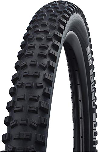 Schwalbe Racing Ralph Tire - 29 x 2.25, Tubeless, Folding, Black, Performance Line, TwinSkin, Addix